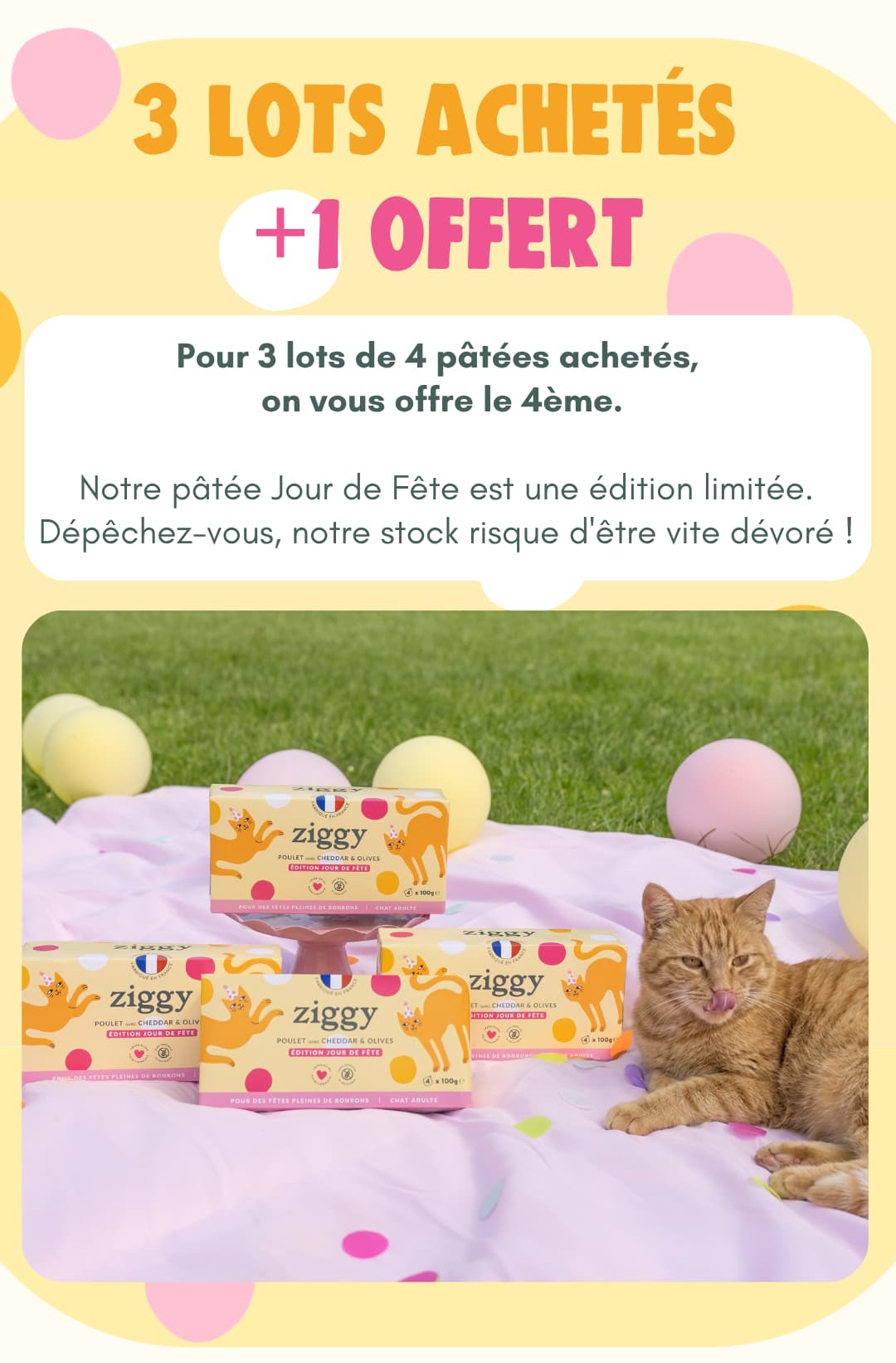 3 lots achetés + 1 offert