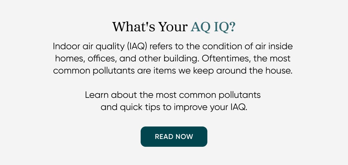 What's your AQ IQ?