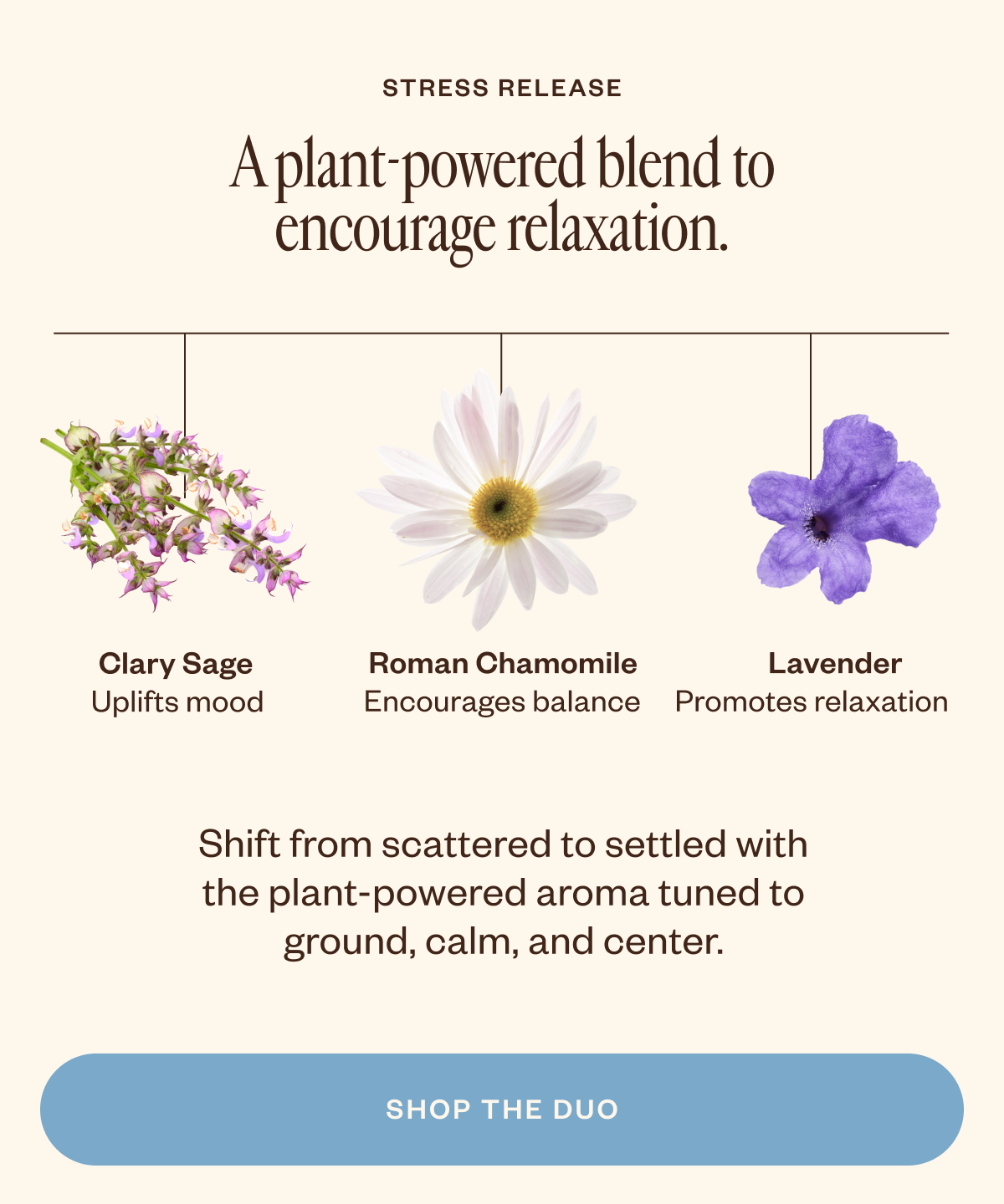 A plant-powered blend to encourage relaxation