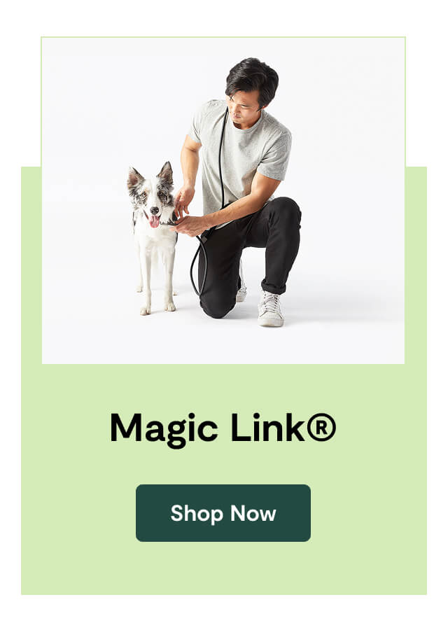 Magic Link®