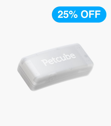 GPS Tracker