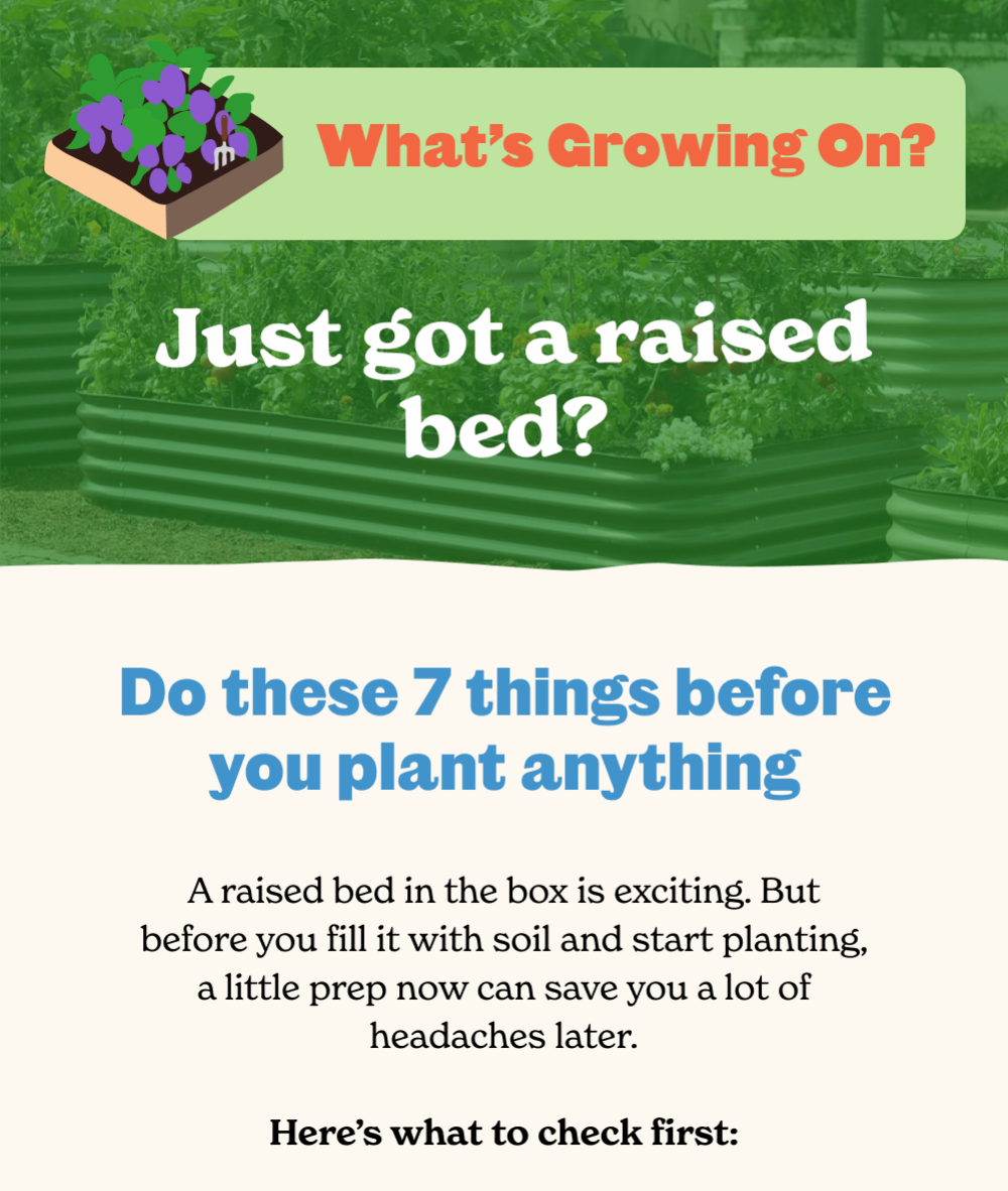 Do these 7 things before you plant anything
