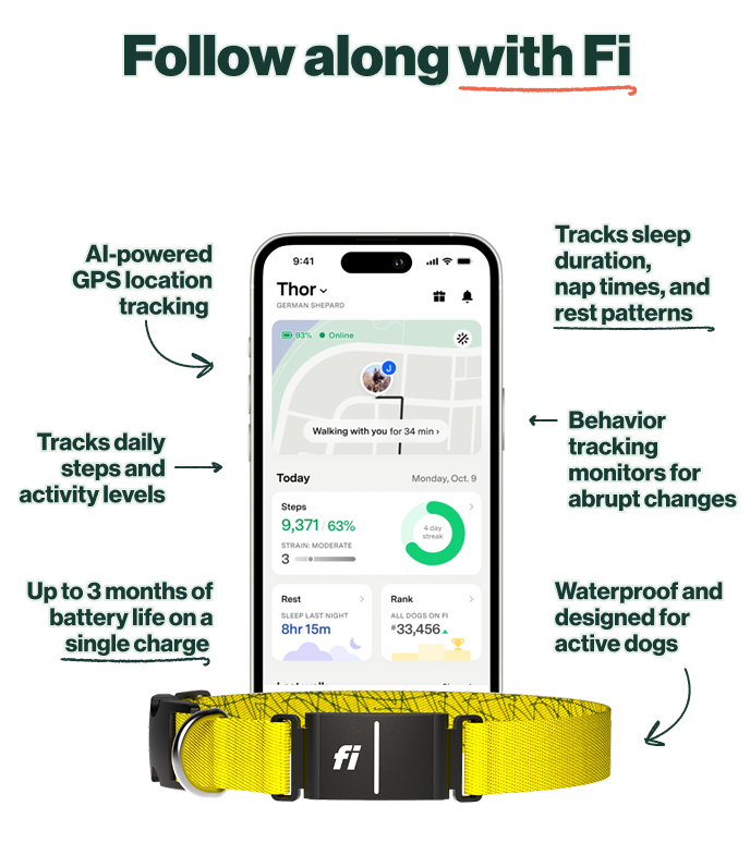 Follow along with Fi: AI-powered GPS location tracking. Tracks daily steps and activity levels. Up to 3 months of battery life on a single charge. Tracks sleep duration, nap times, and rest patterns. Behavior tracking monitors for abrupt changes. Waterproof and designed for active dogs.