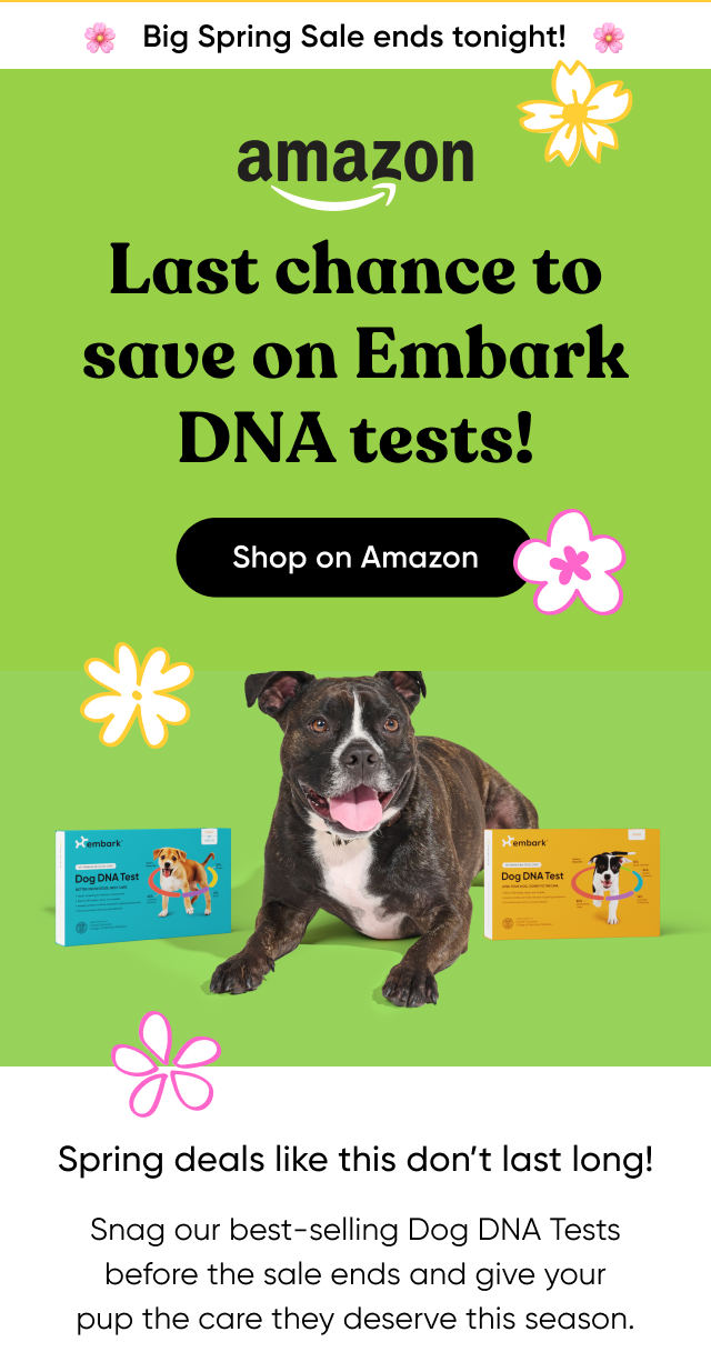 Big Spring Sale ends tonight! Last chance to save on Embark DNA tests! Shop on Amazon