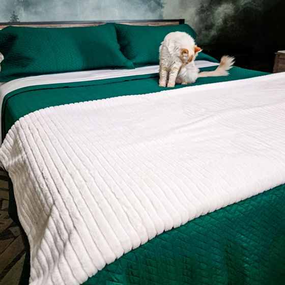 Shop Oversized Quilt Sets