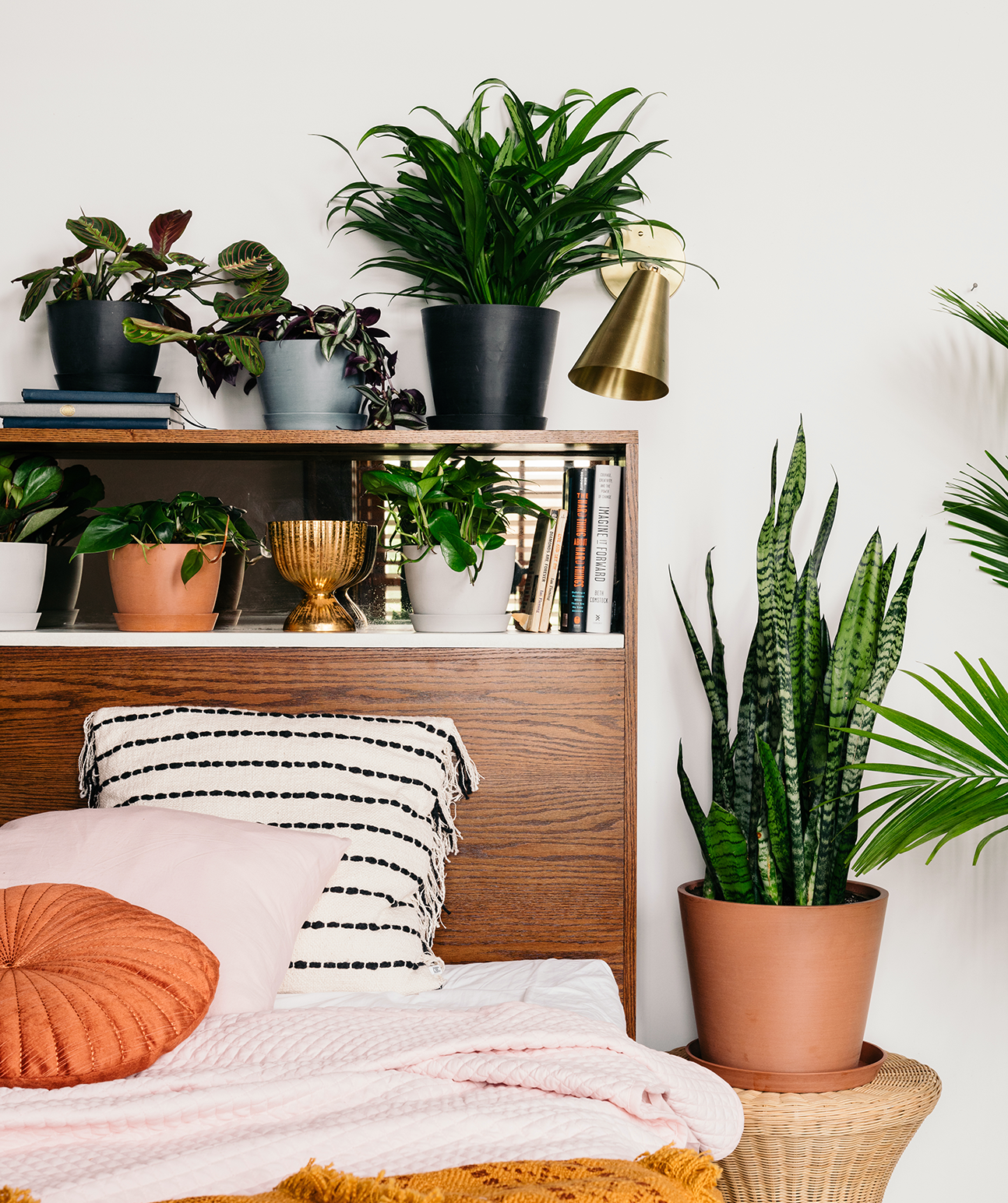 save on dorm decor favorites