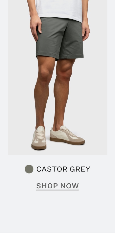 Castor Grey