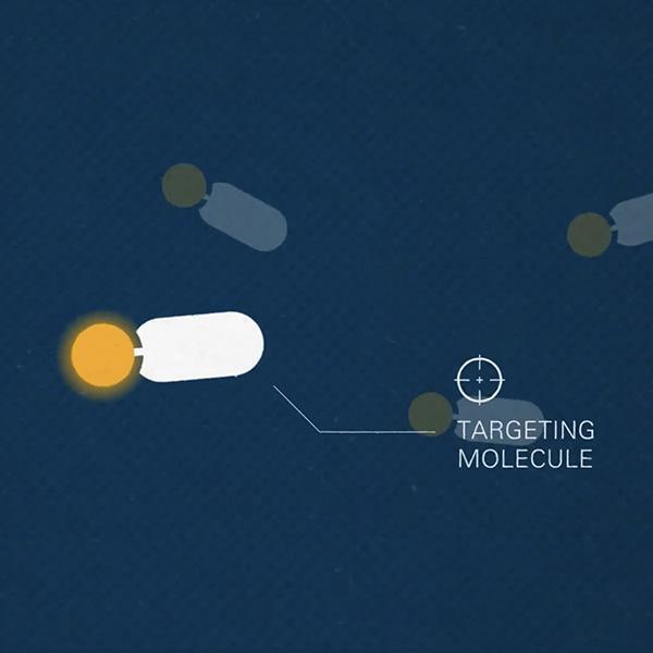 Video still showing an illustrative targeting molecule
