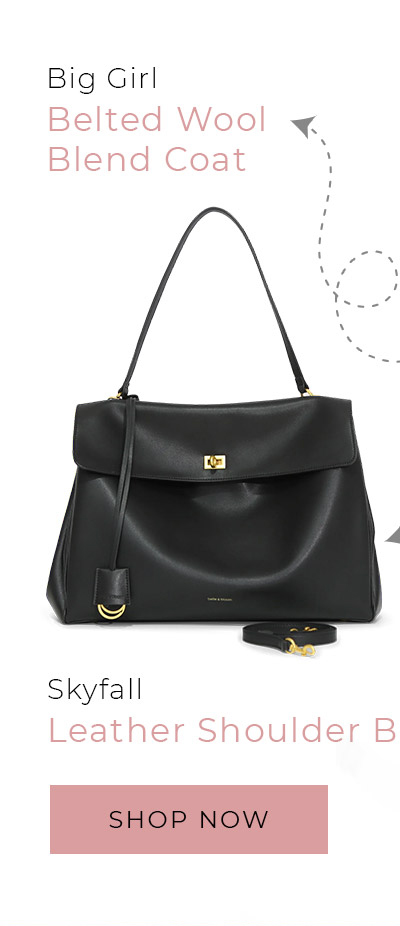 Skyfall Leather Shoulder Bag - Black