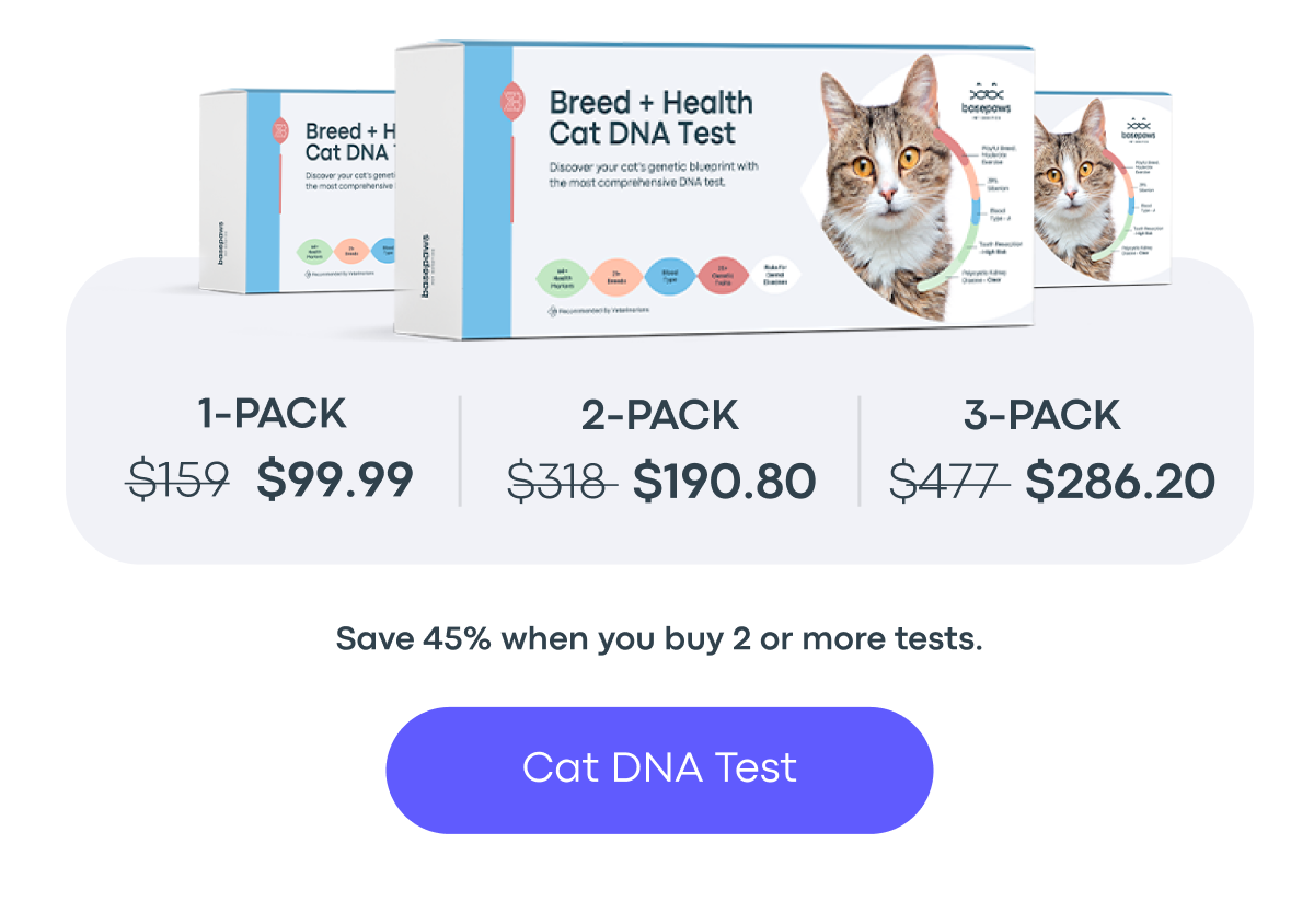 Cat DNA Test