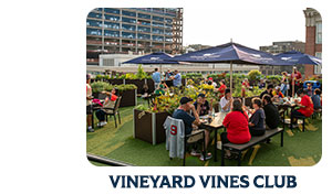 vineyard vines club