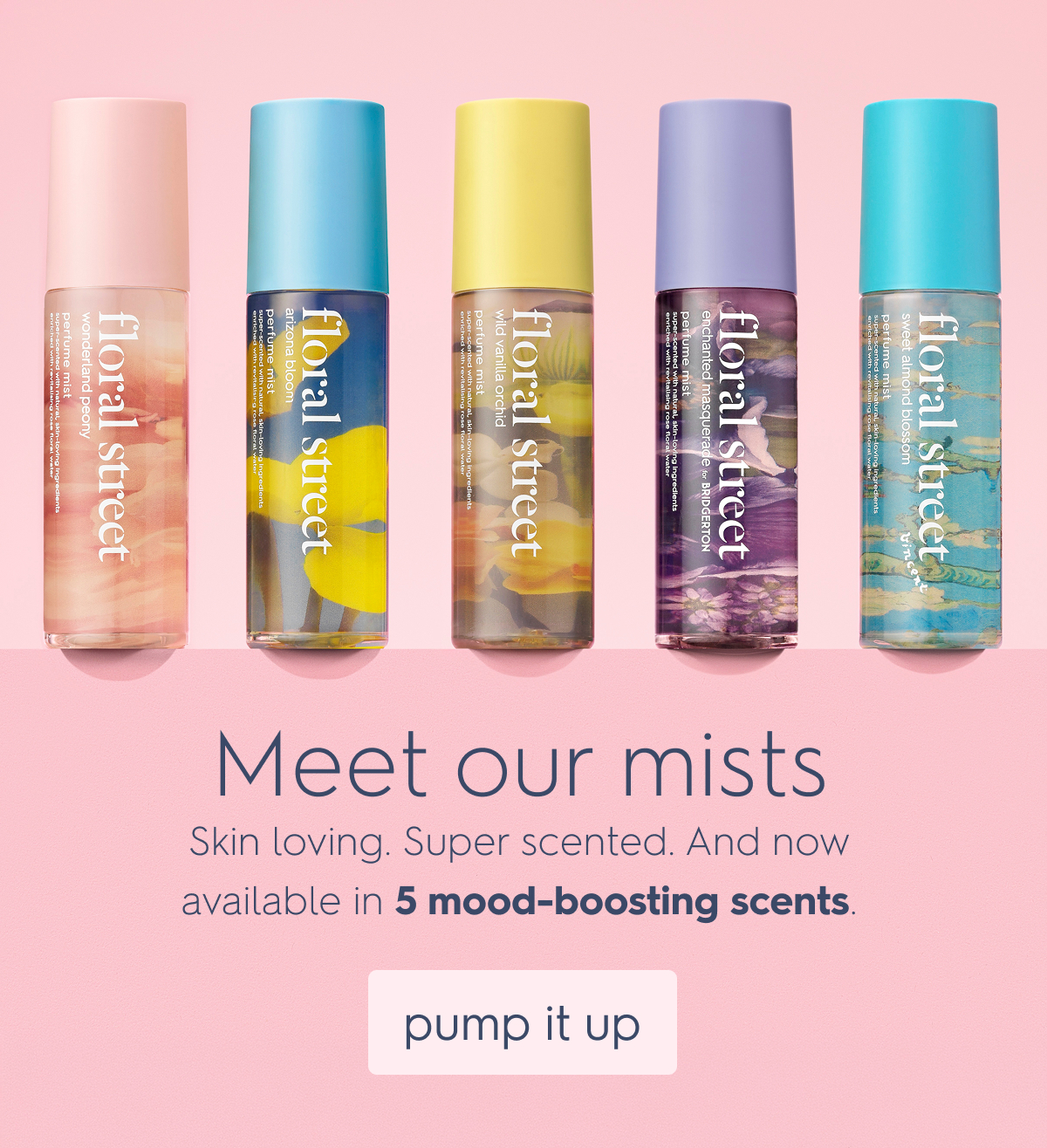 Meet our mists 