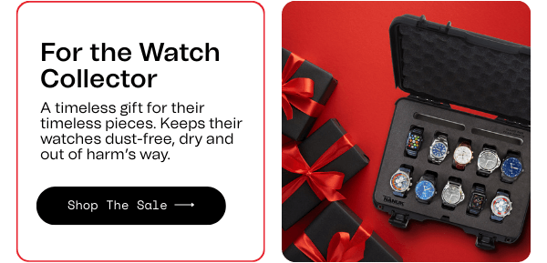 For the Watch Collector