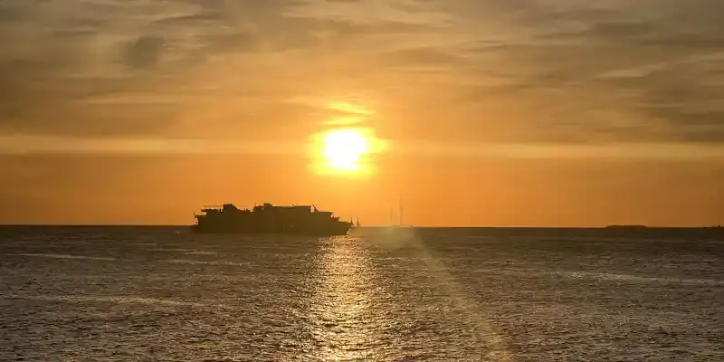 Cruise Without Regrets