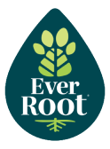 EverRoot®