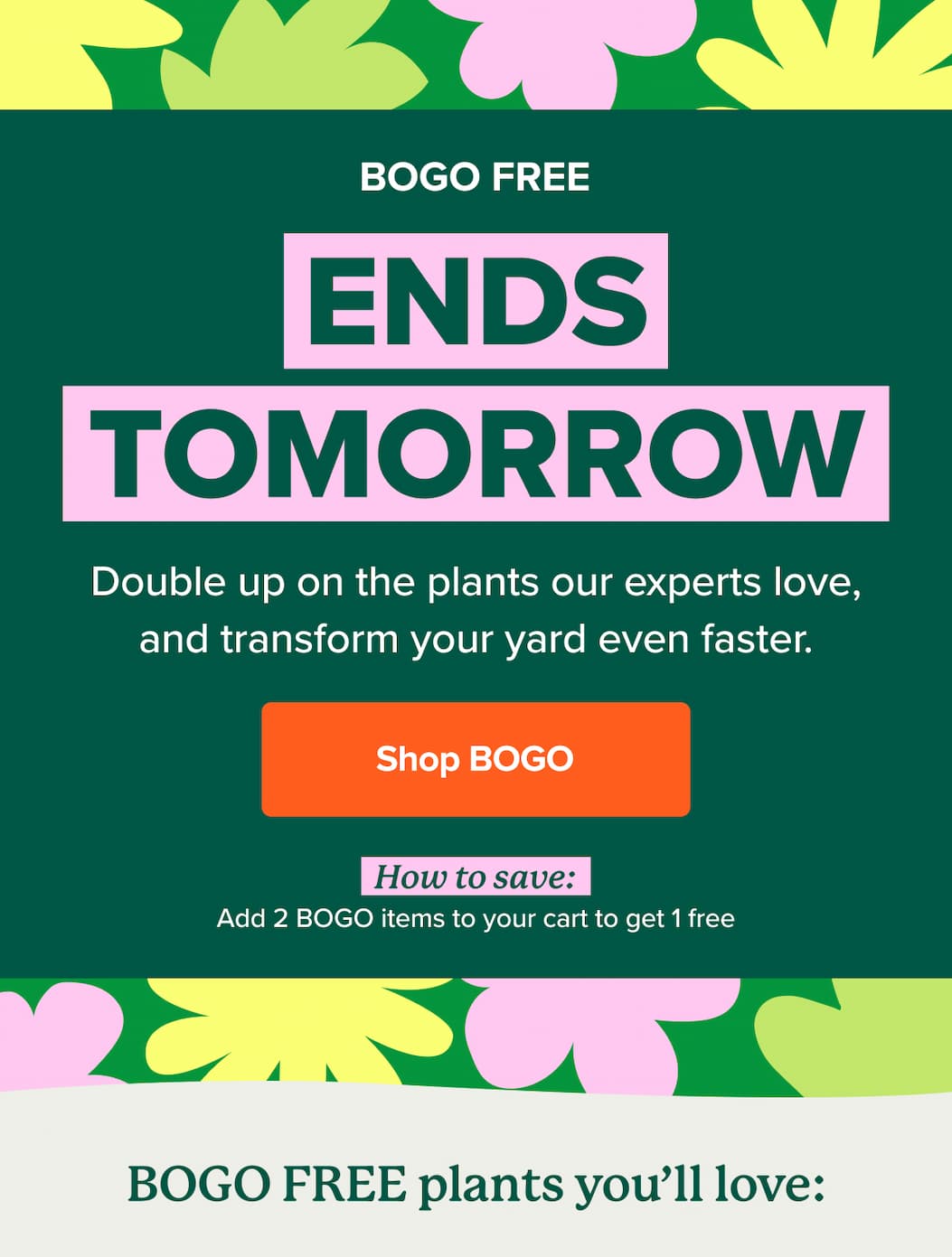 BOGO FREE ENDS TOMORROW. SHOP BOGO>>
