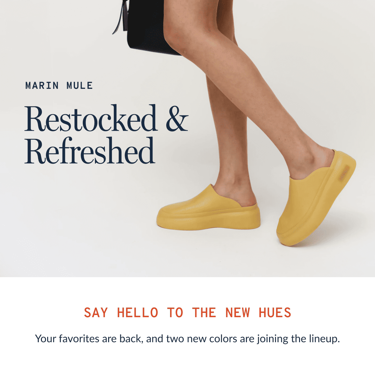 Restocked & Refreshed