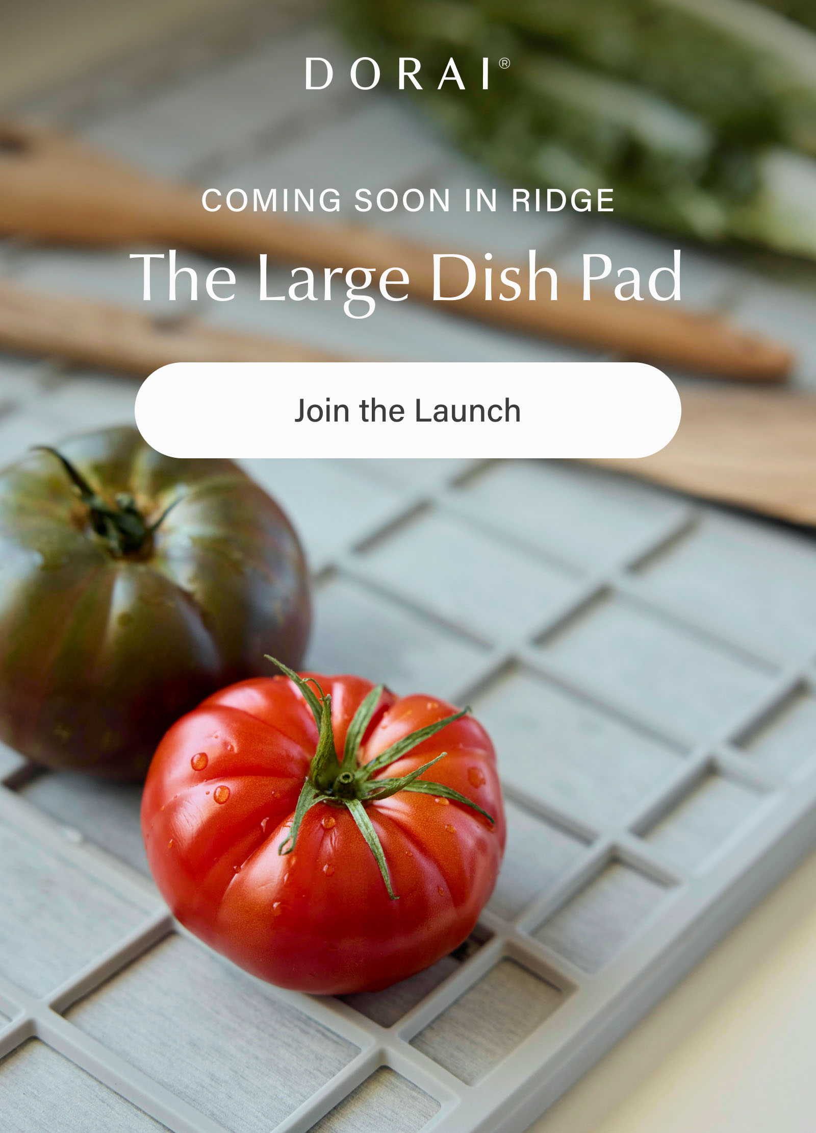 Coming Soon in Ridge