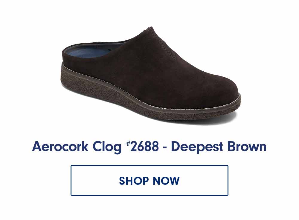 Aerocork Clogs
