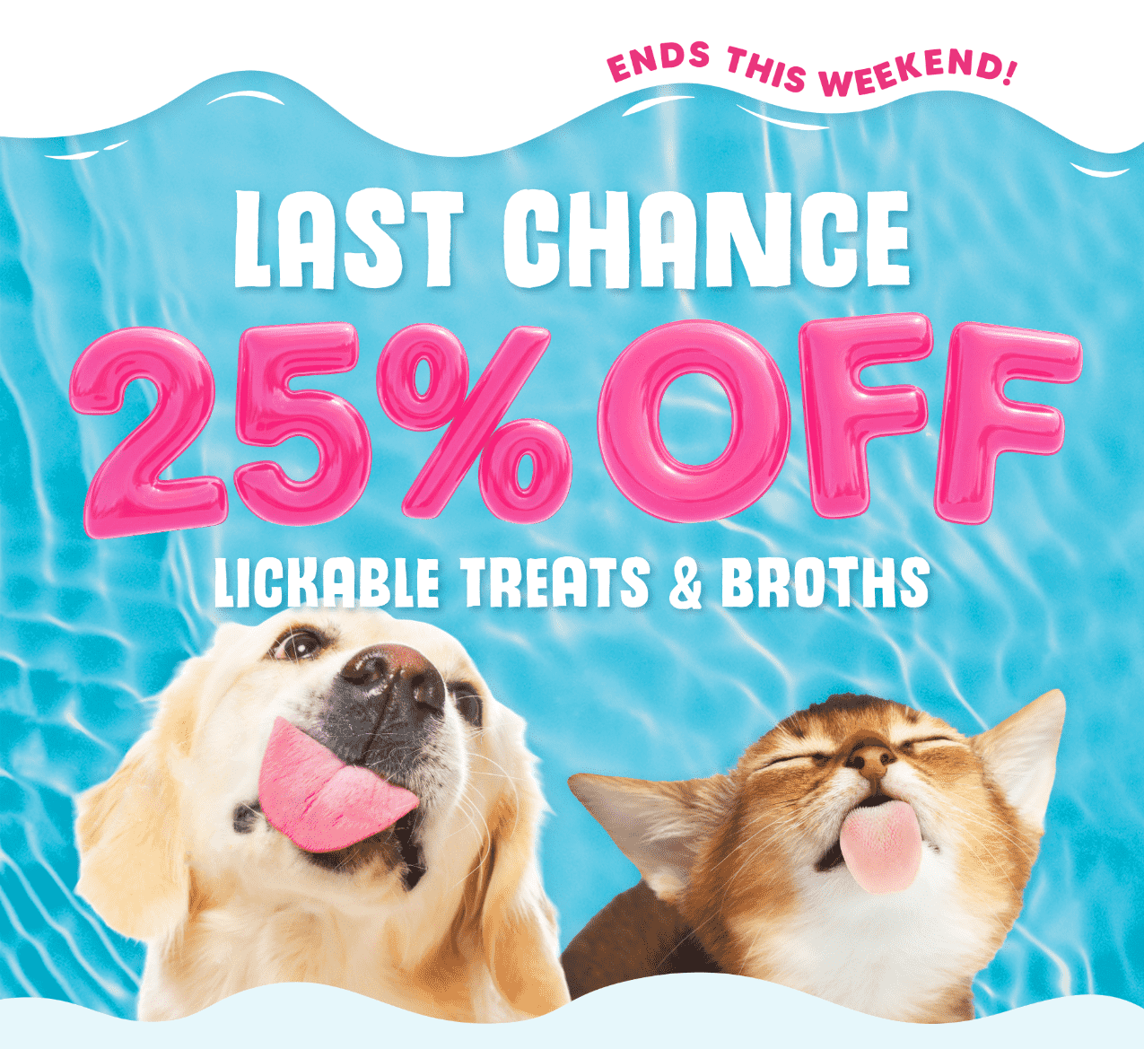 25% off Lickable Treats and Broths - Hydration Sale!