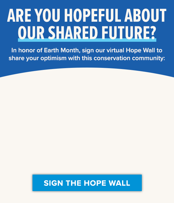 ARE YOU HOPEFUL ABOUT OUR SHARED FUTURE? In honor of Earth Month, sign our virtual Hope Wall to share your optimism with this conservation community: [SIGN THE HOPE WALL]