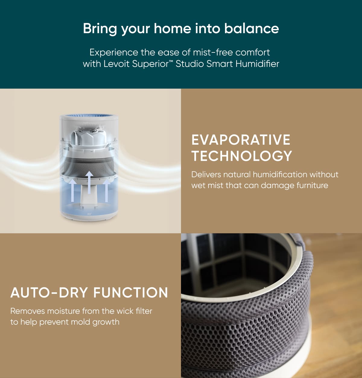 Bring your home into balance