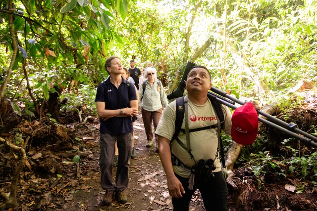 Hike in the jungle at Tortuguero National Park