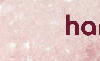 hanni