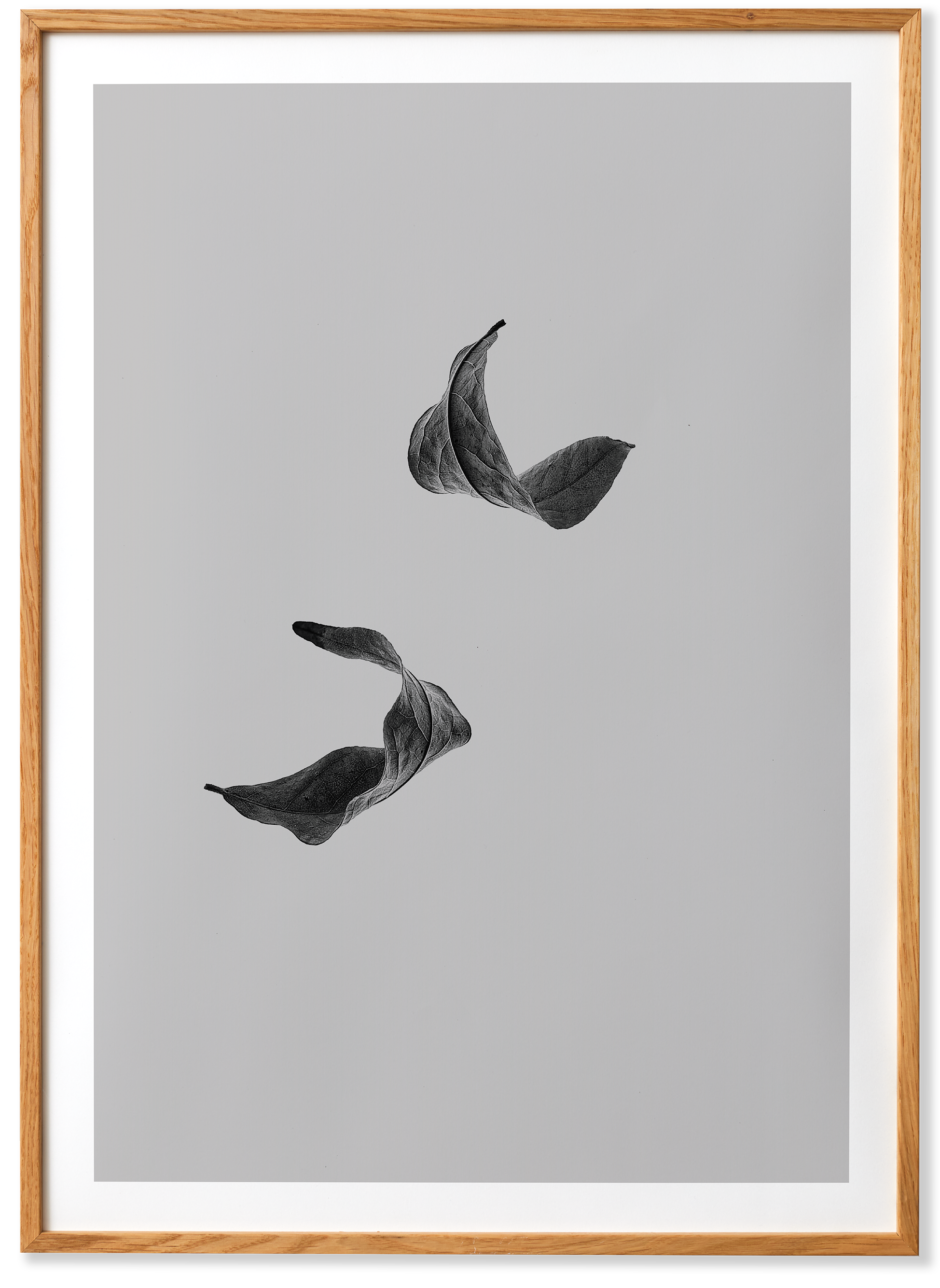 Sabi Leaf 02
