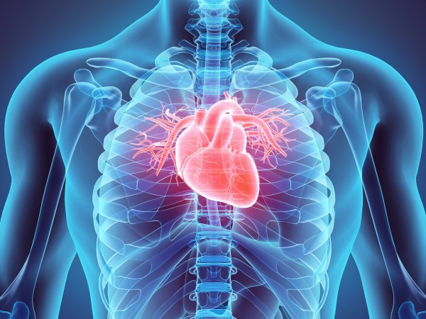 Heart.