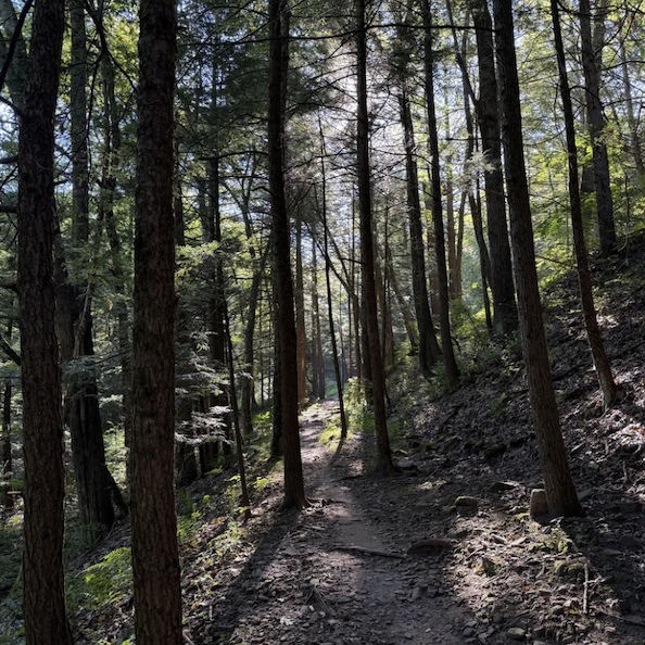 Galbraith Gap 