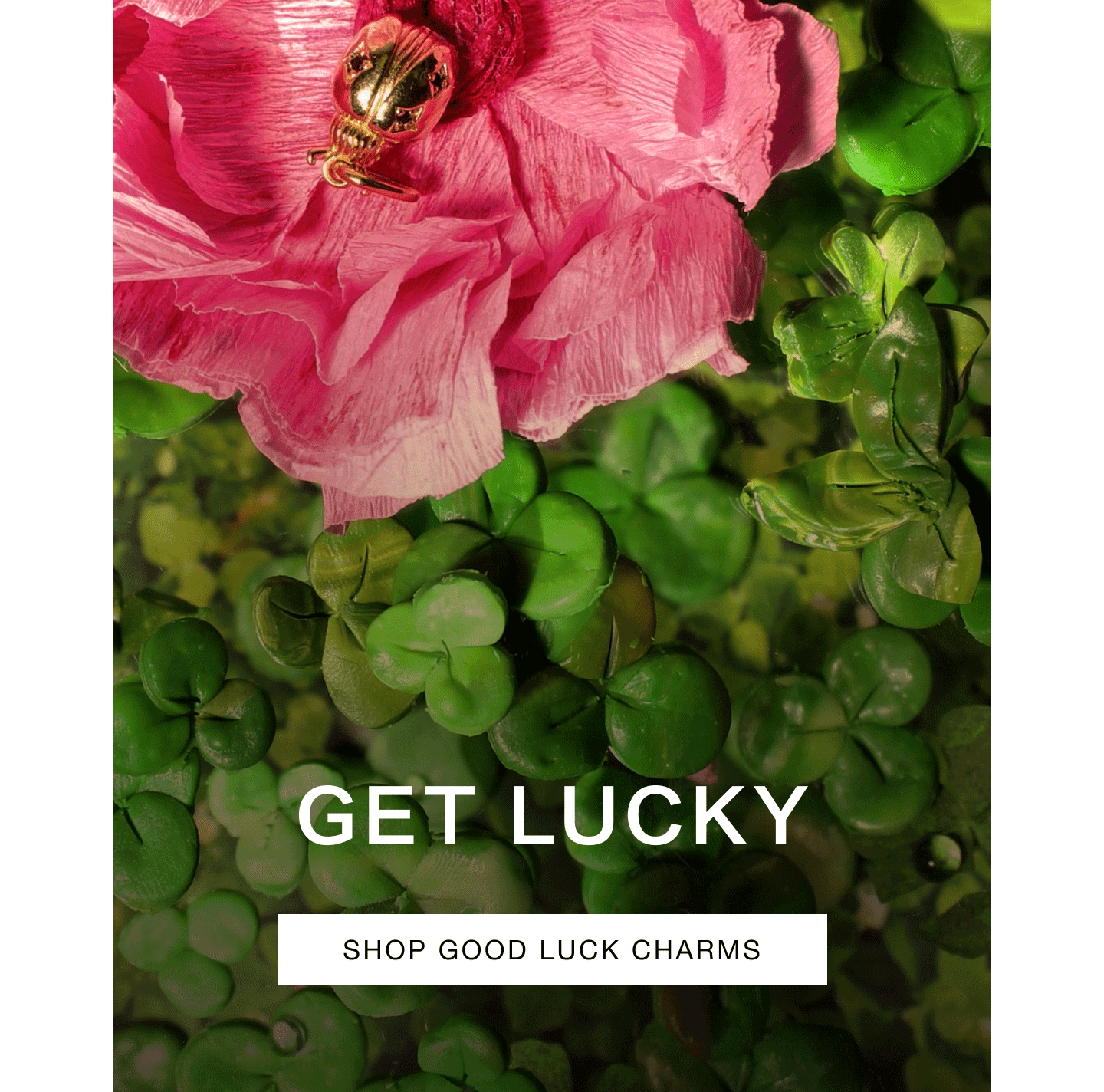Get Lucky. Shop Good Luck Charms.
