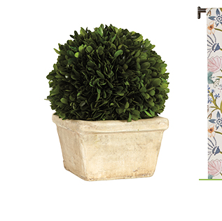 Preserved Boxwood Topiary
