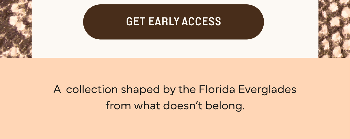 Get Early Access