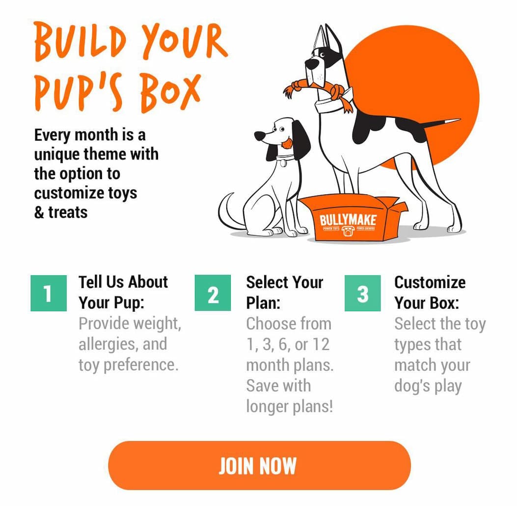 Bullymake Dog Toy Subscription Box