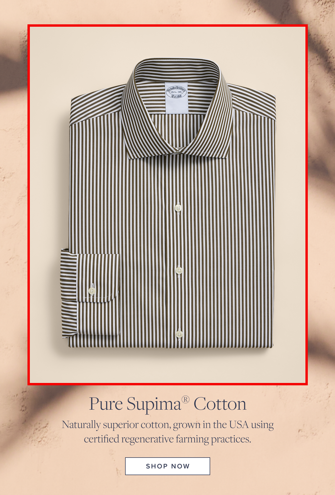 Pure Supima Cotton Shop Now