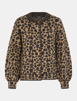 Cardi