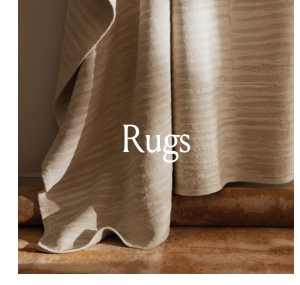 Shop Rugs