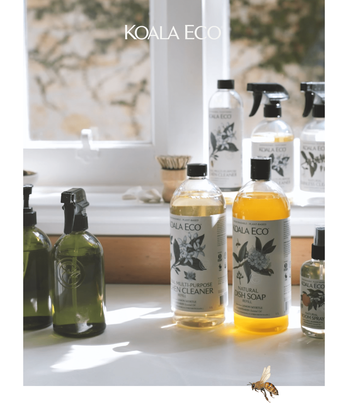 KOALA ECO