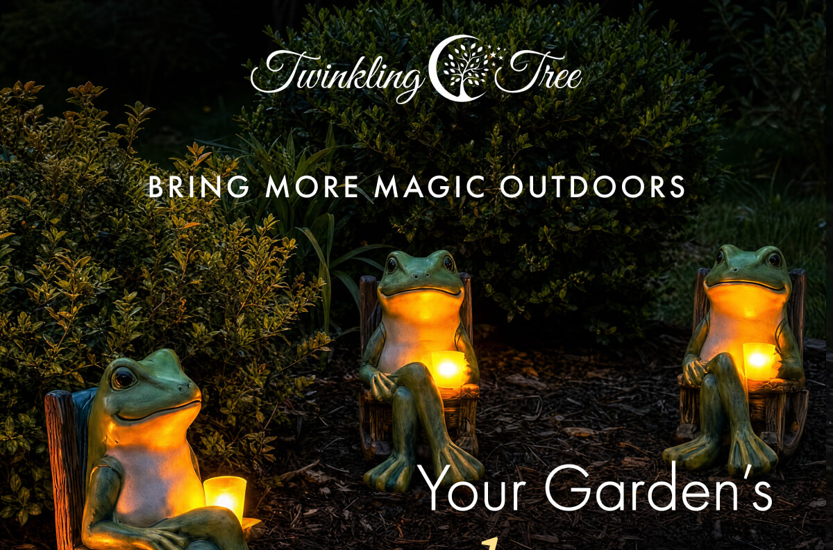 Your Garden’s  glow up Starts Here
