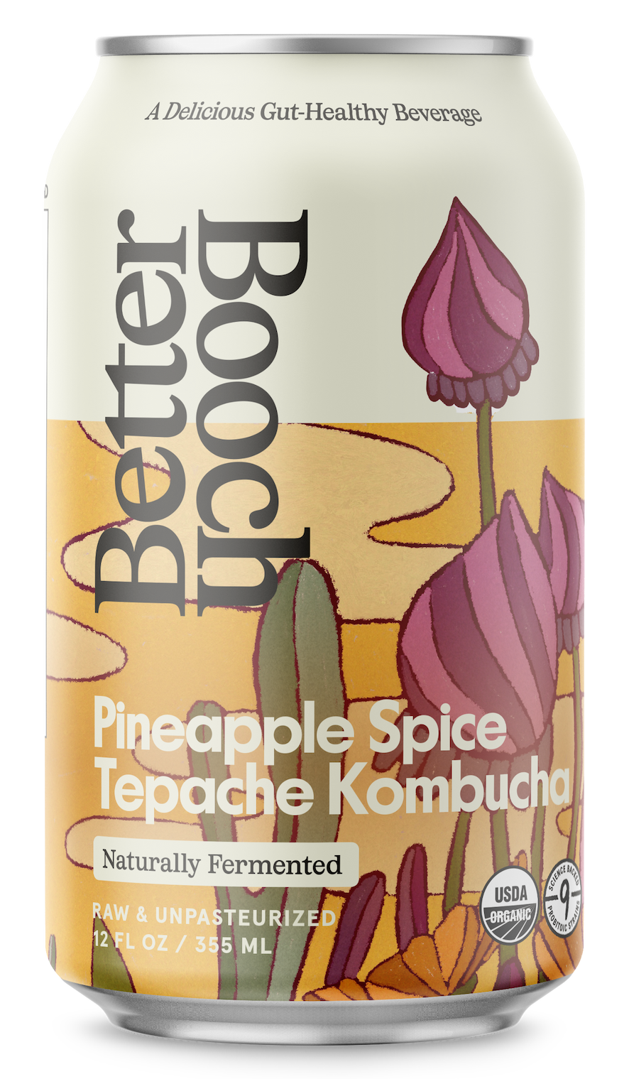 Pineapple Spice Tepache
