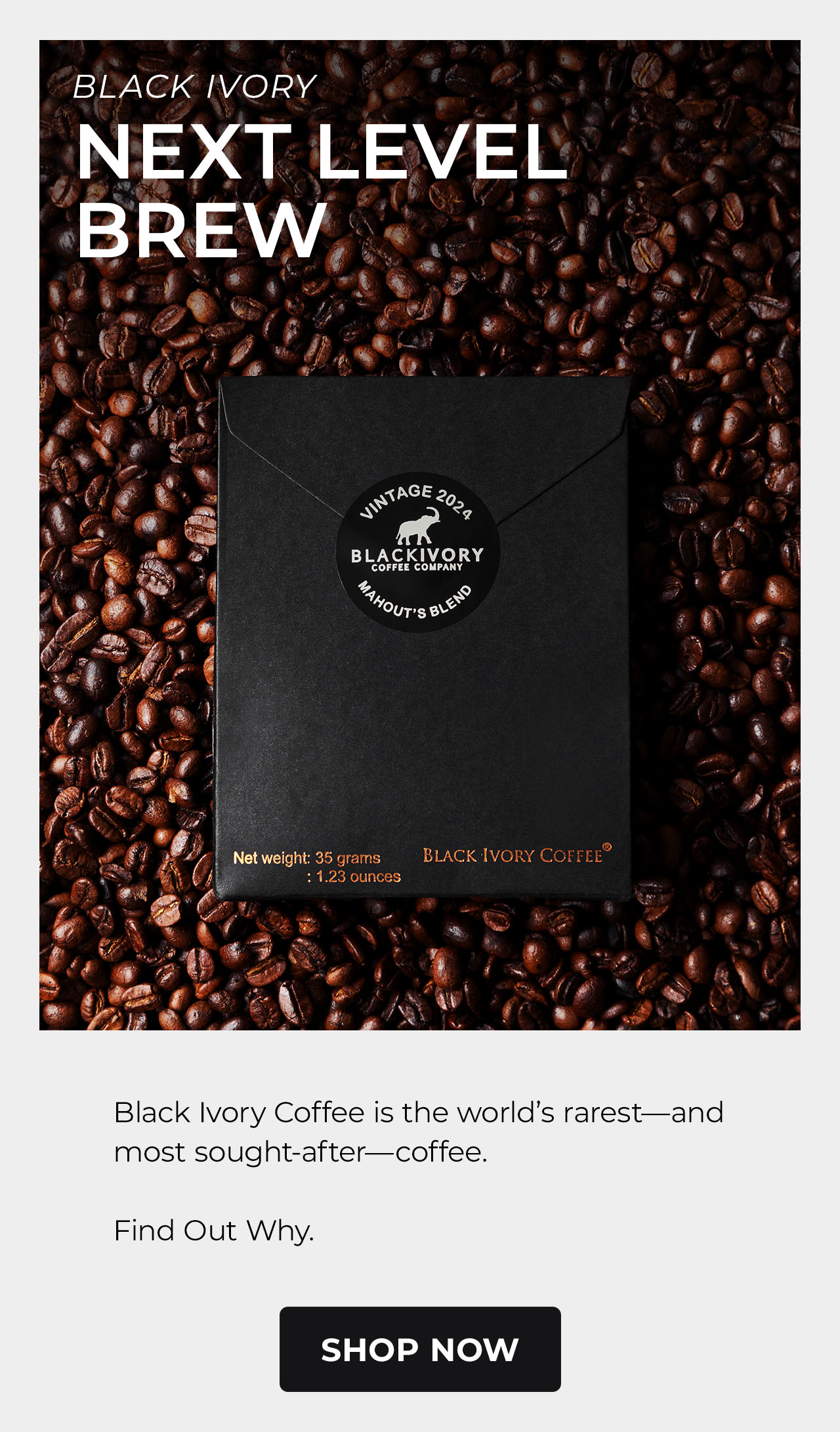 Black Ivory Coffee