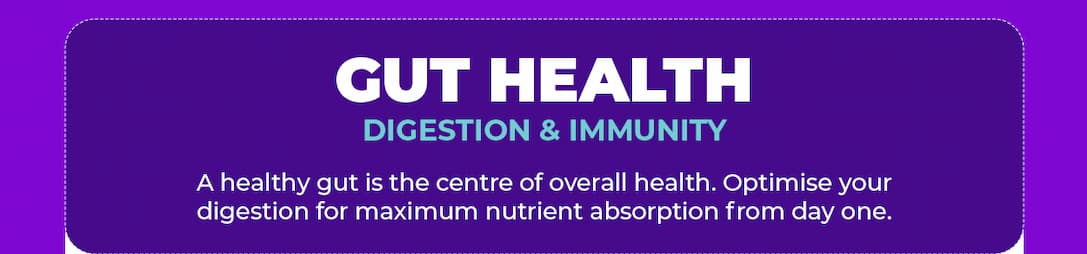 Shop Gut Health