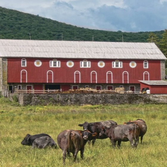 18 Surprising Under-the-Radar Places in Pennsylvania to Explore