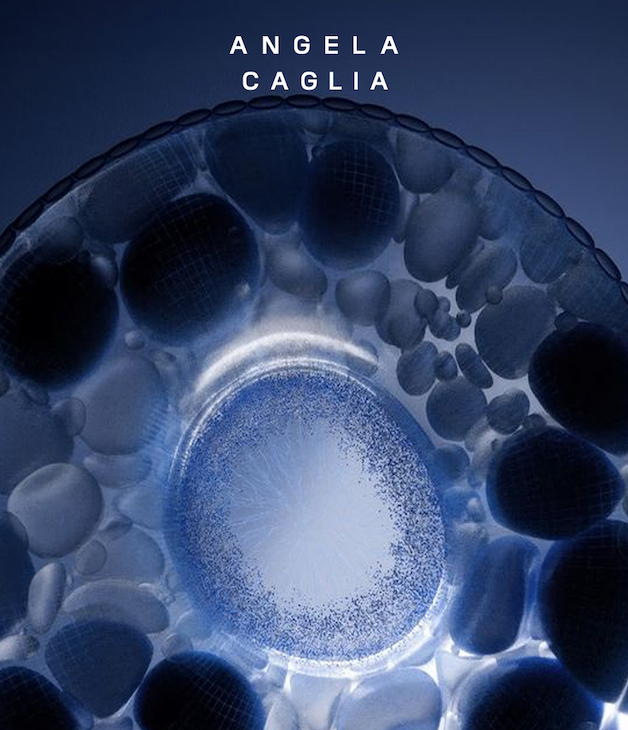 An image of a stem cell