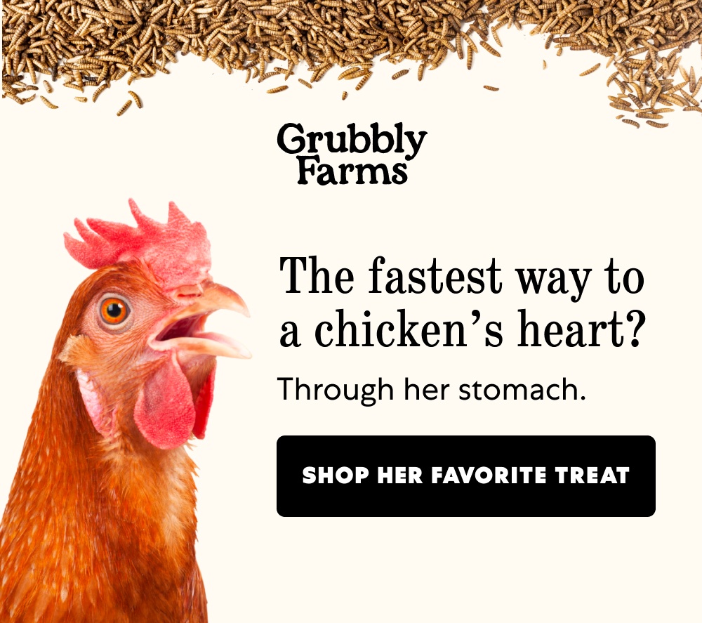 The fastest way to a chicken’s heart? Through her stomach. Shop Her Favorite Treat
