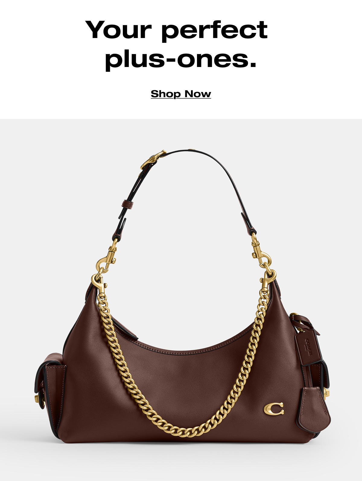 Your perfect  plus-ones. Shop Now