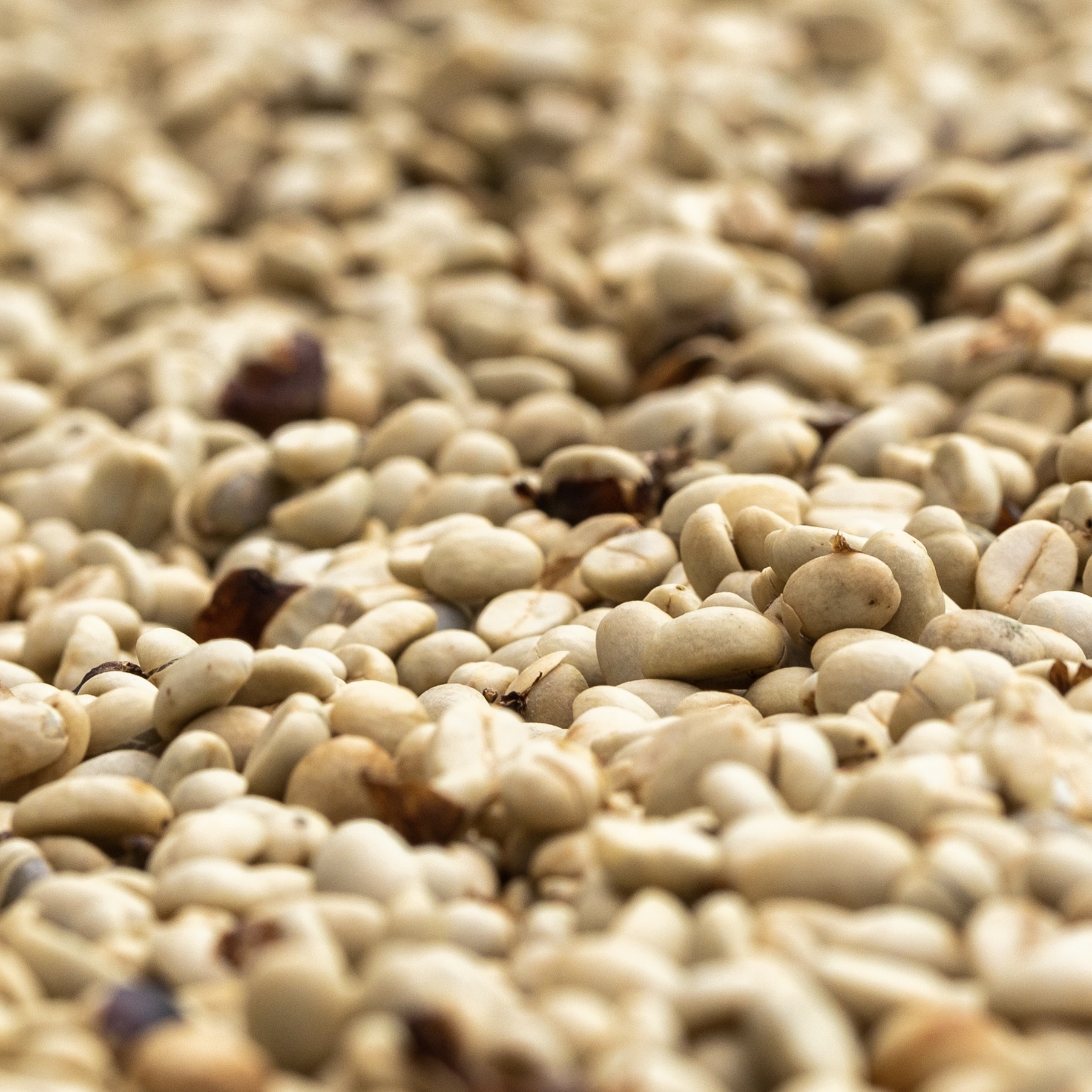 PROCESSING_COFFEE