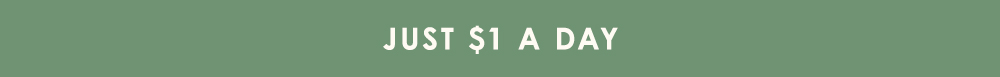 Just $1 A Day 