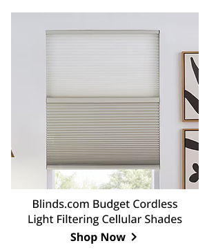 Blinds.com Budget Cordless Light Filtering Cellular Shades | Shop Now >